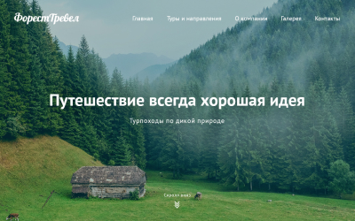forest